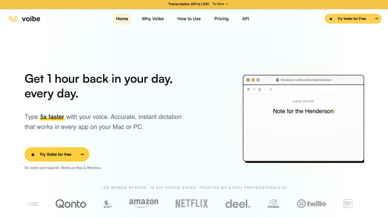 Voibe homepage showing dictation inside a document