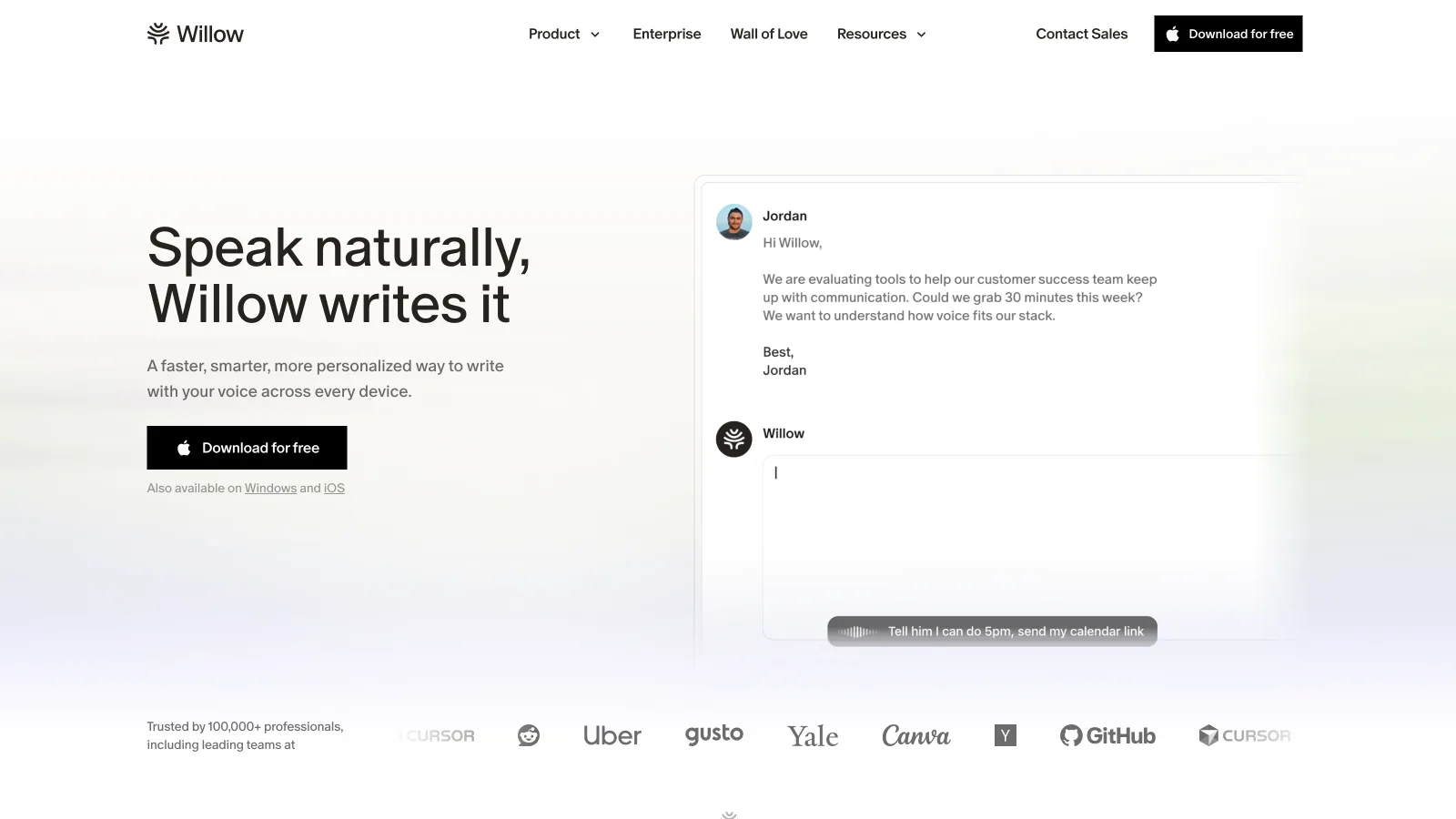 Willow homepage showing voice dictation across apps